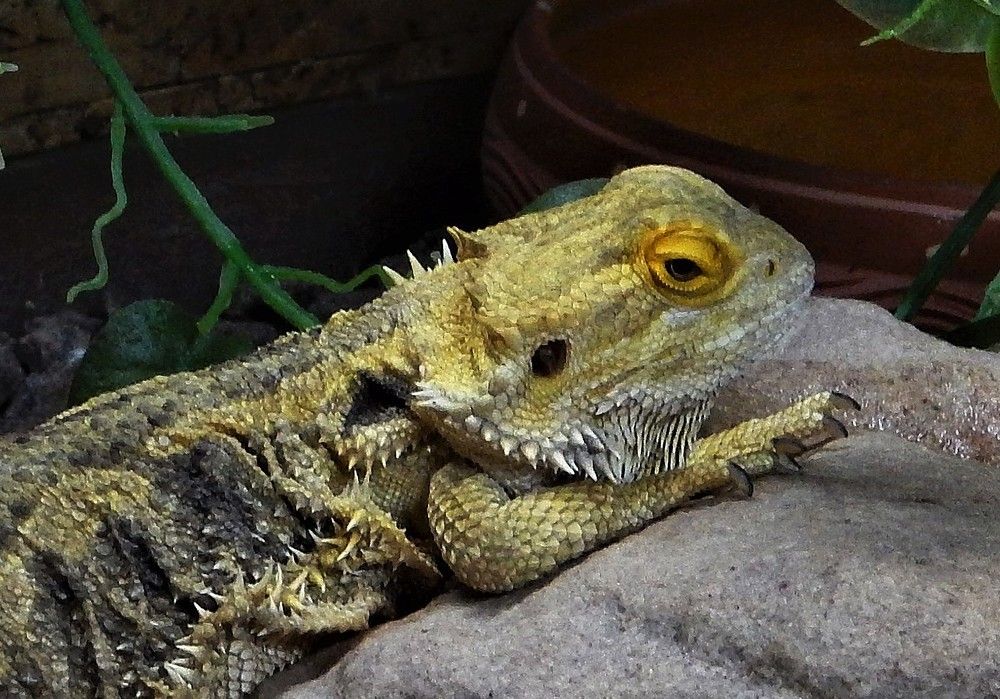 Photograph by Ирина Самойленко