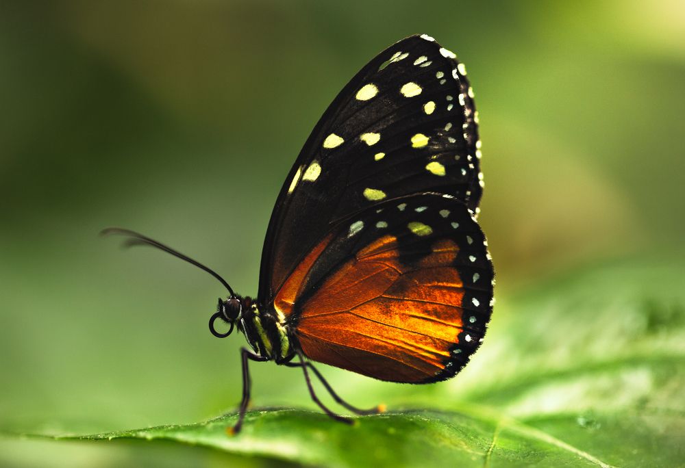 Photograph by Nadia Gorokh