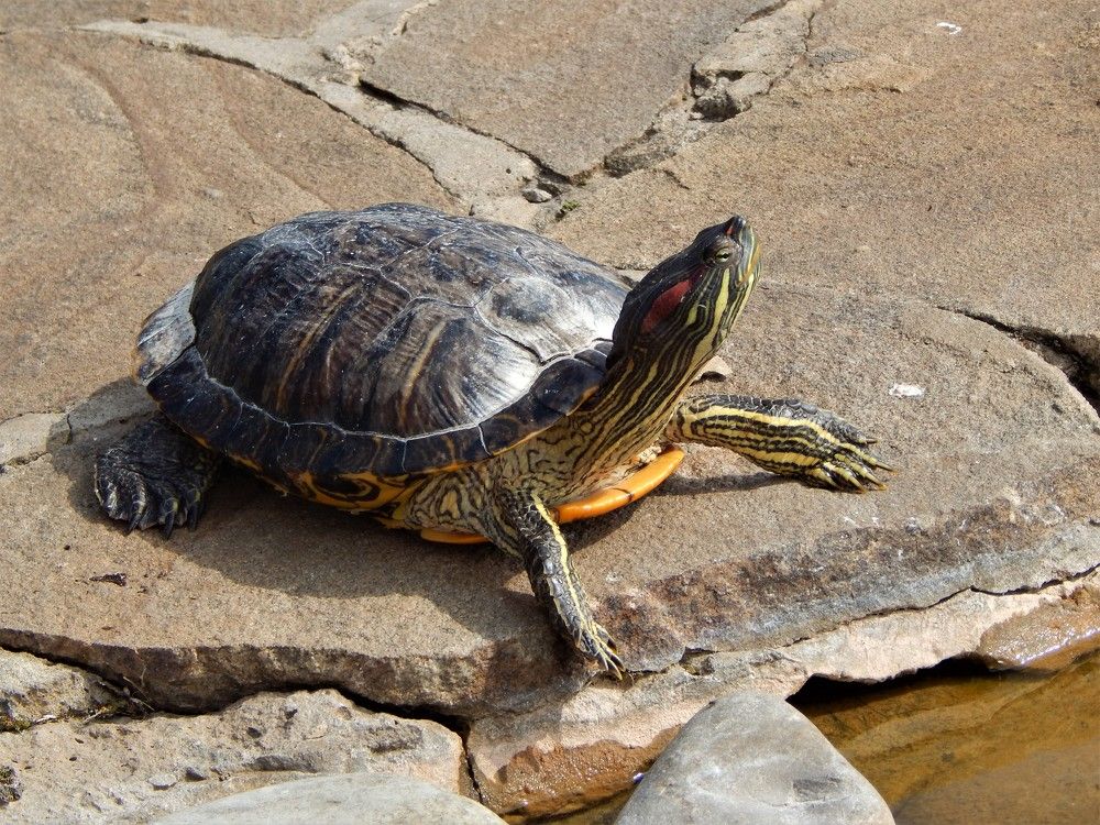 Photograph by Ирина Самойленко