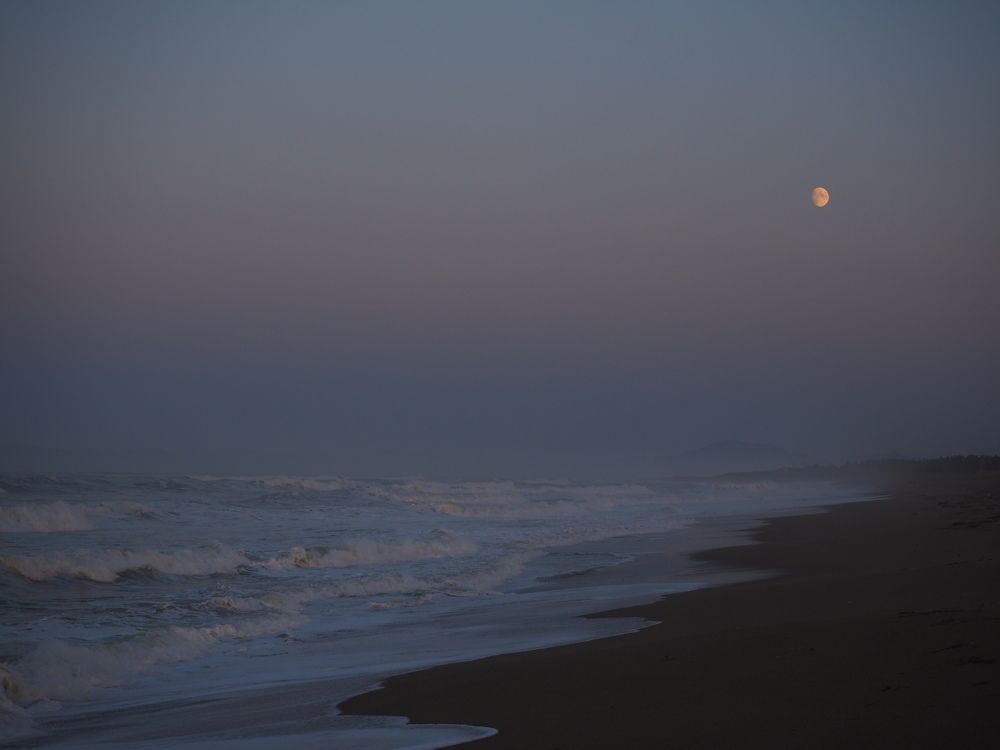 Фотография автора Olena Vorotyntseva