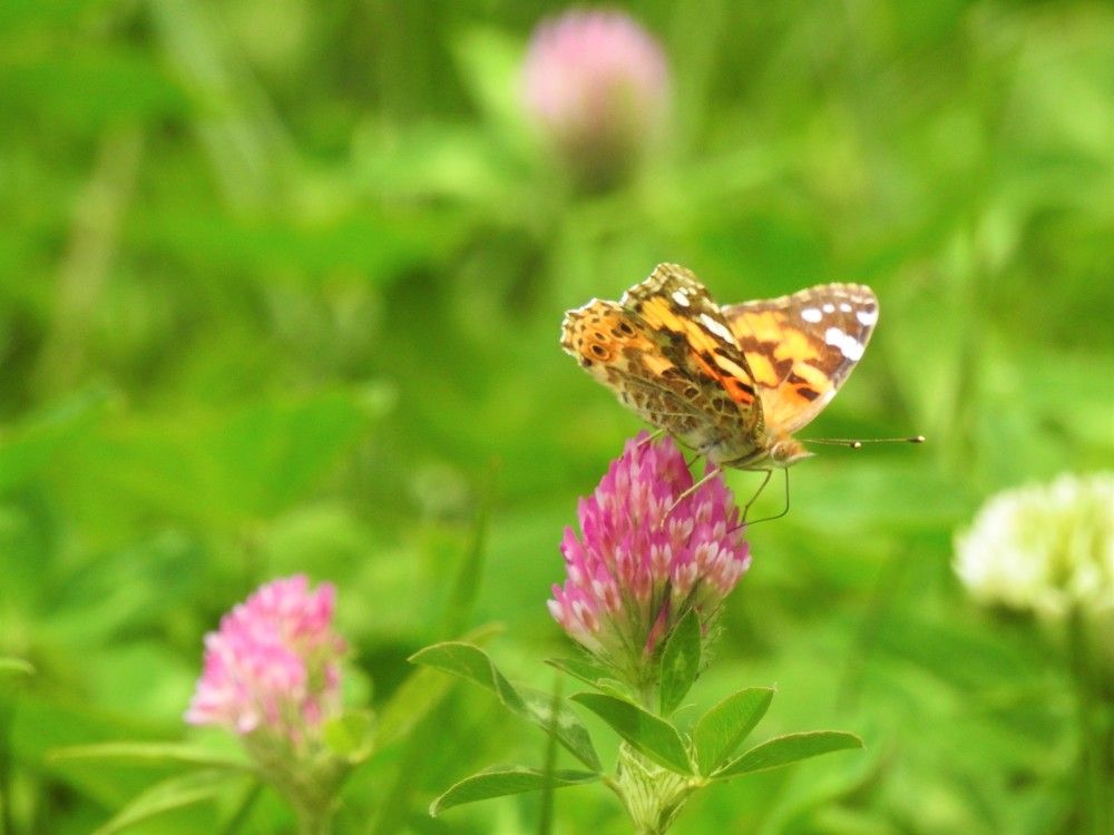 Photograph by Рустамбек Ахмадзода