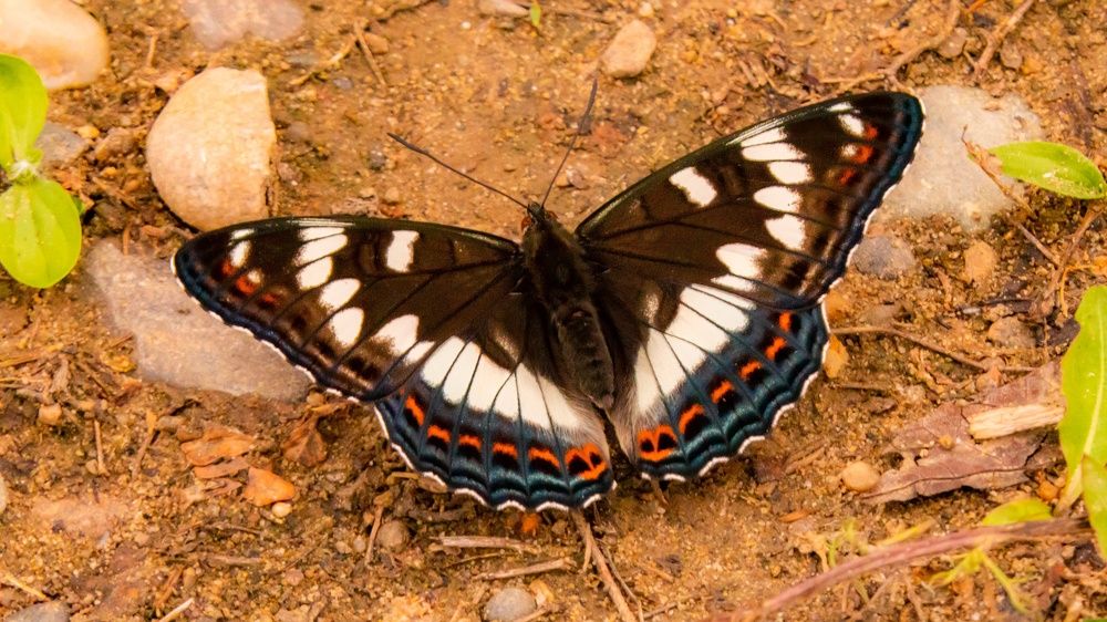 Photograph by Игорь Иванов