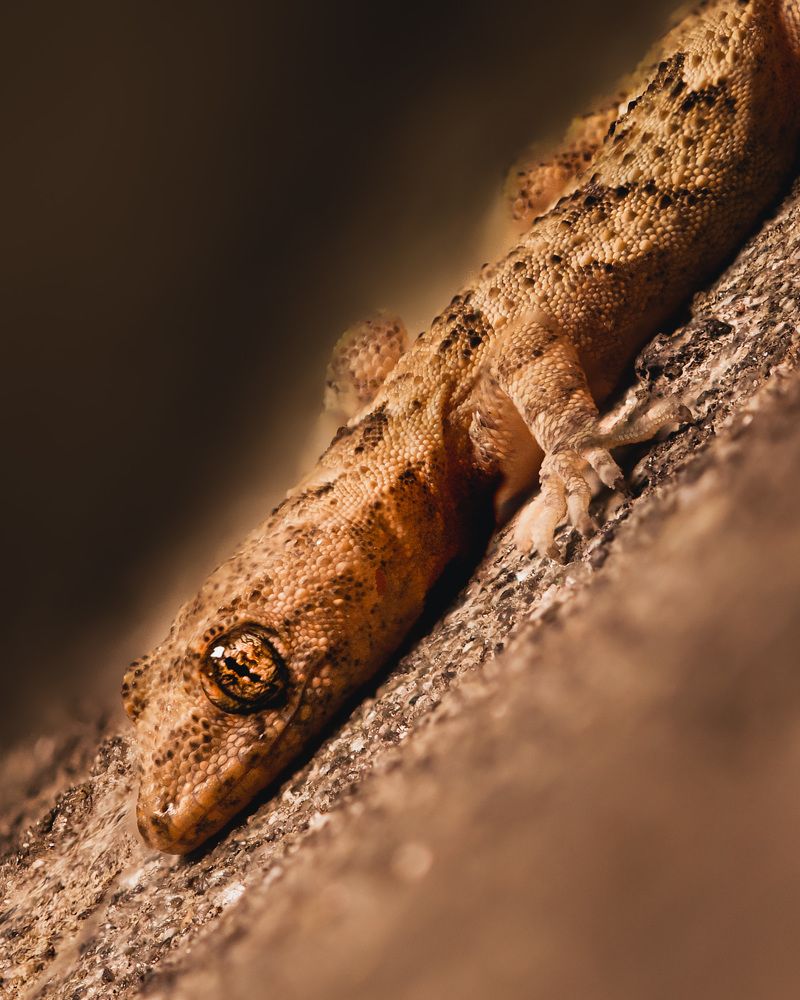 Photograph by Matei Firică