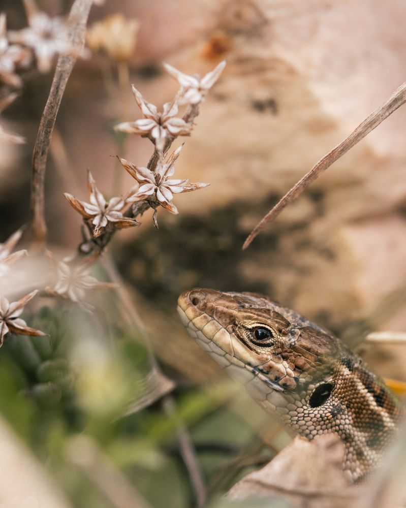 Photograph by Matei Firică