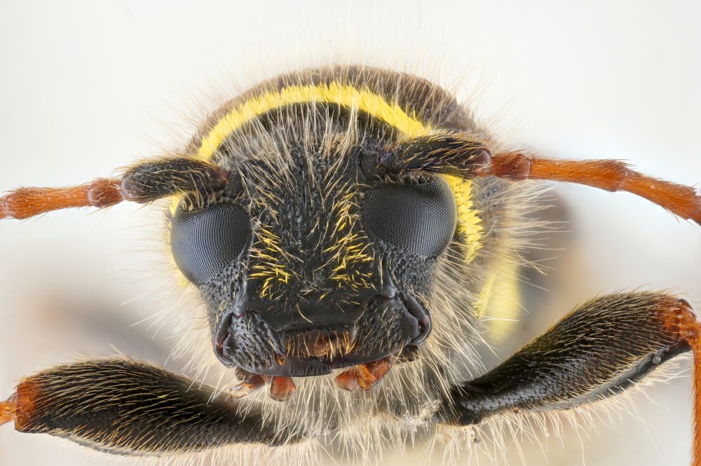 Photograph by Александр Трипольский