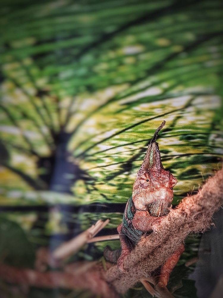 Фотография автора Дана Богинская