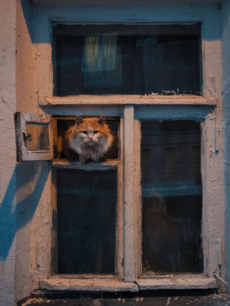 Photograph by Дмитрий Бекетов