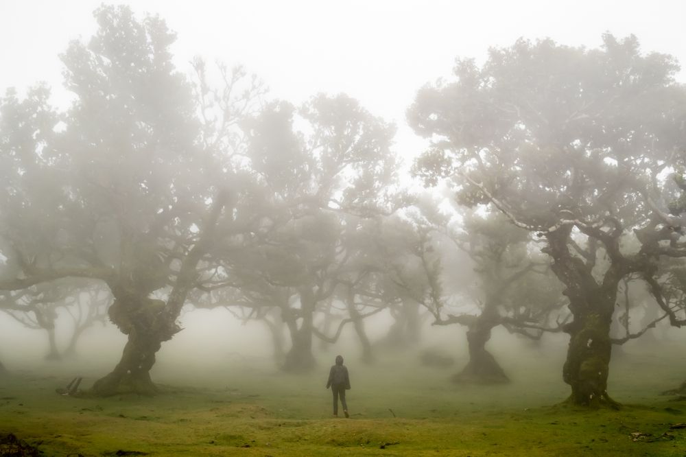 Photograph by Noelia