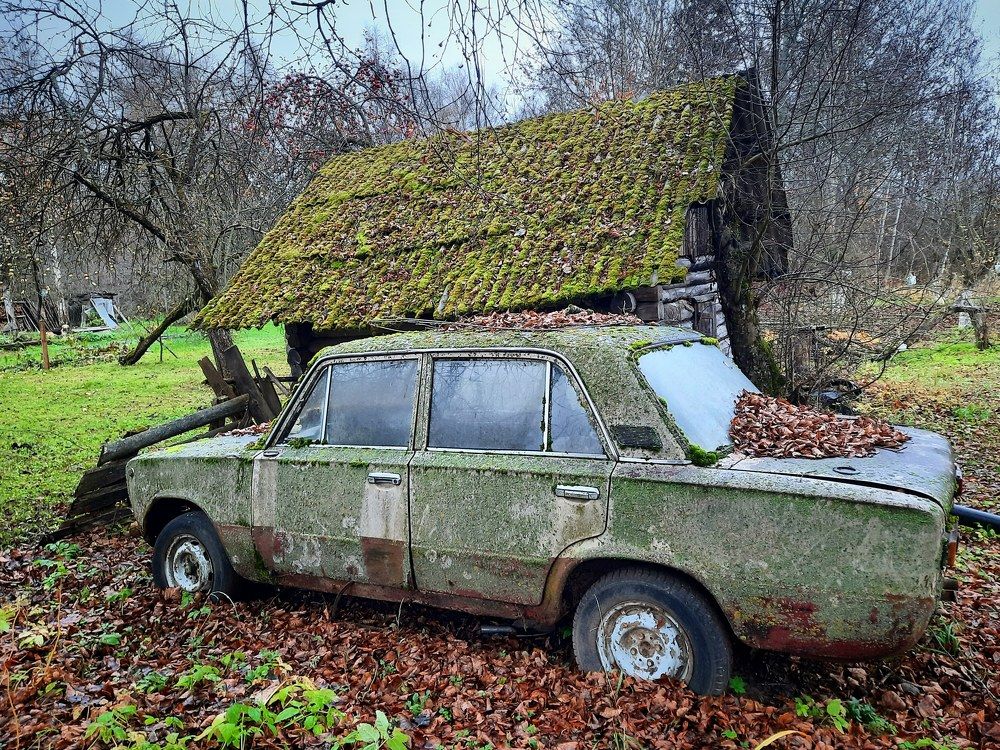 Photograph by Вероника Пугач