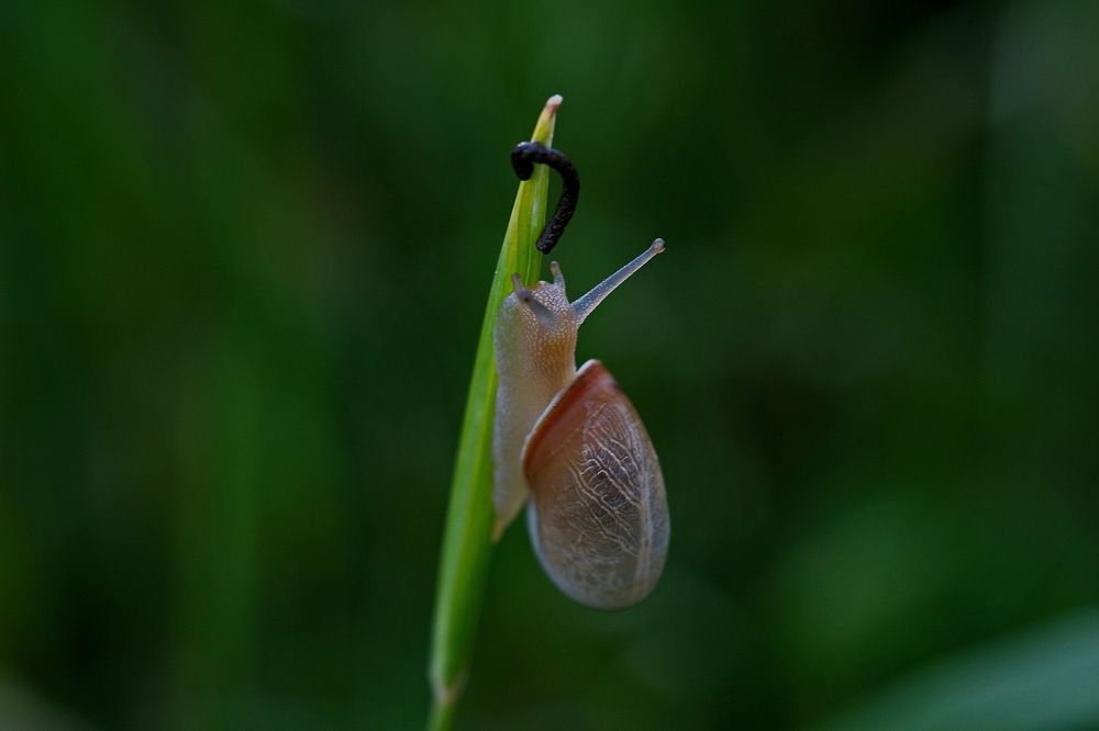 Photograph by Александр