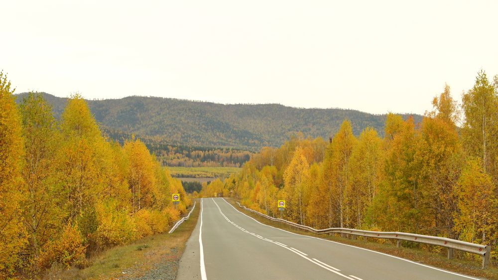 Фотография автора Михаил Кротков