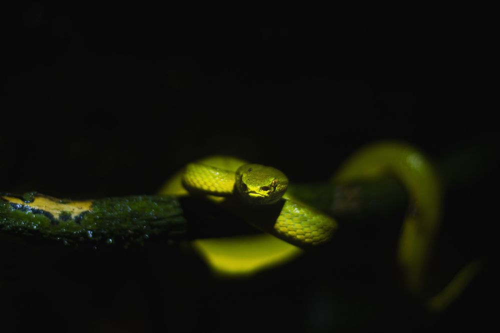 Photograph by Jain Salil