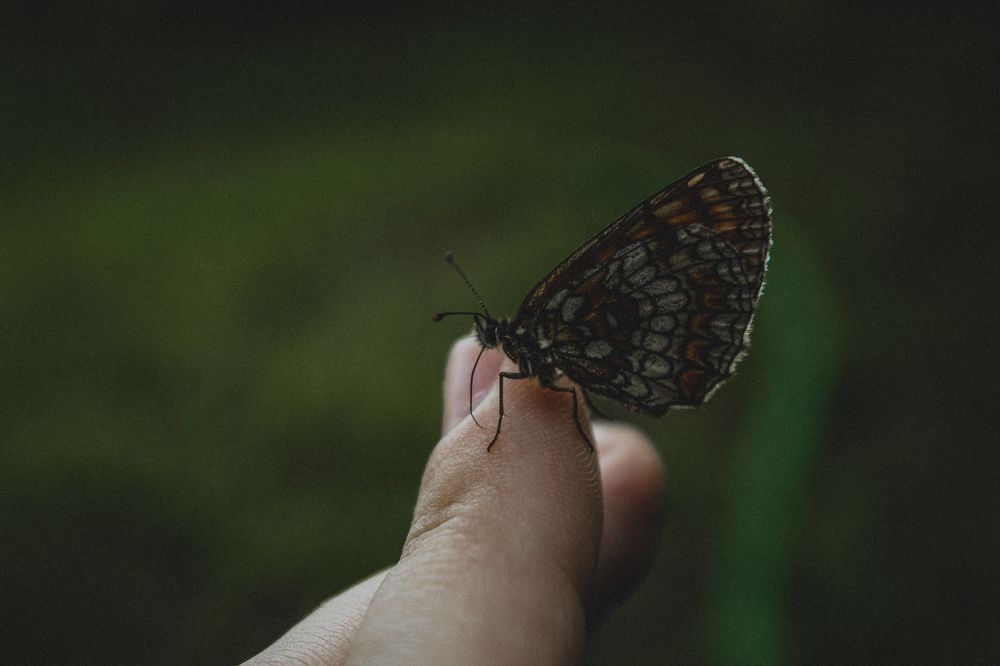 Photograph by Диана Козел