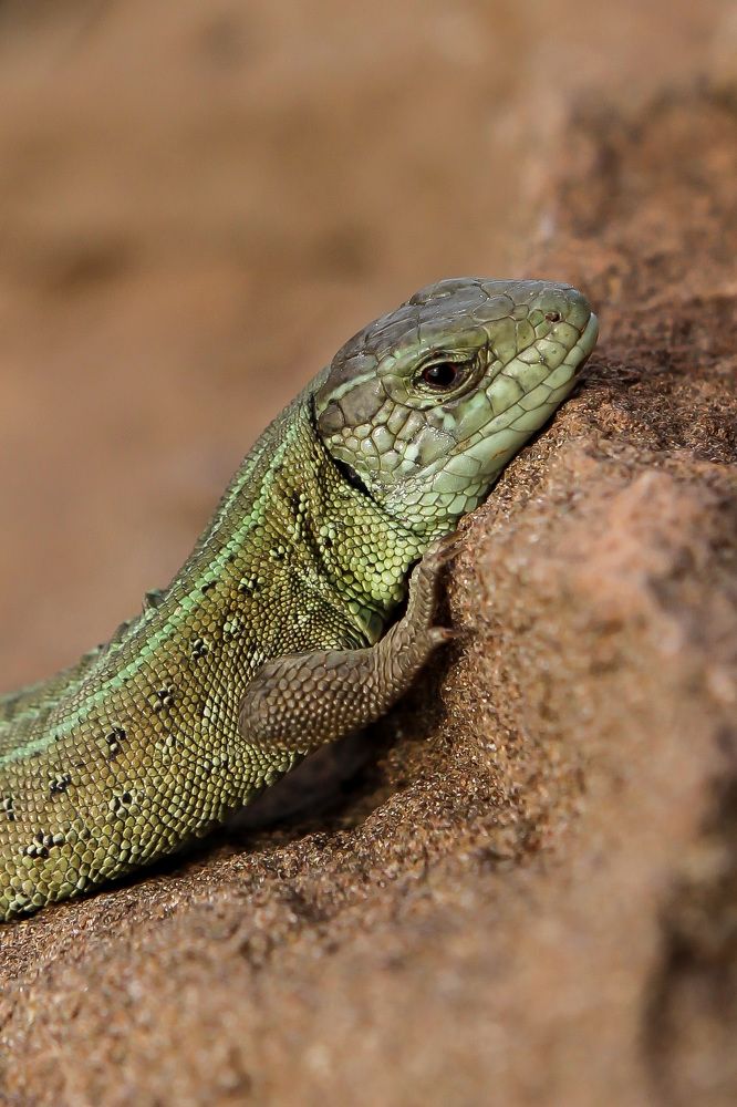 Photograph by Олеся Постнова