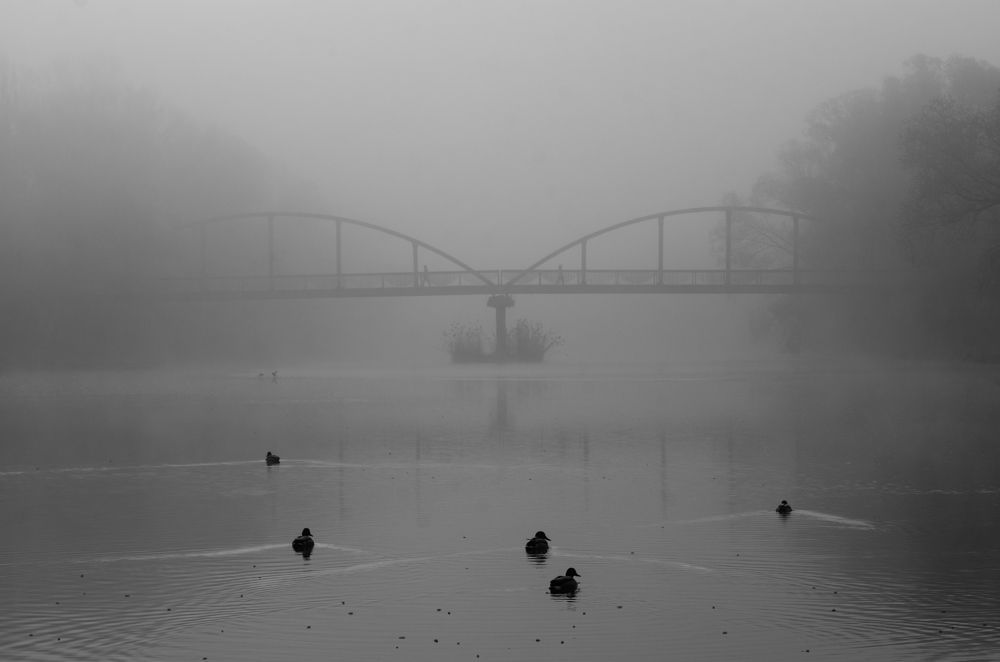 Photograph by Евгений Гайдук