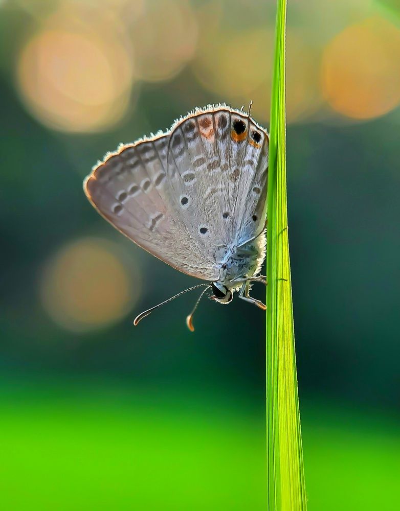 Love to play with lights