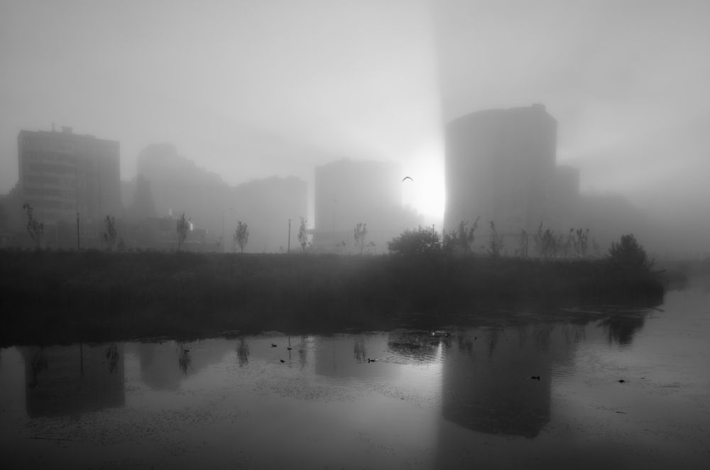 Photograph by Евгений Гайдук