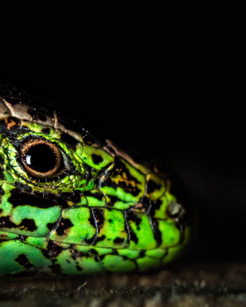 Photograph by Patryk George