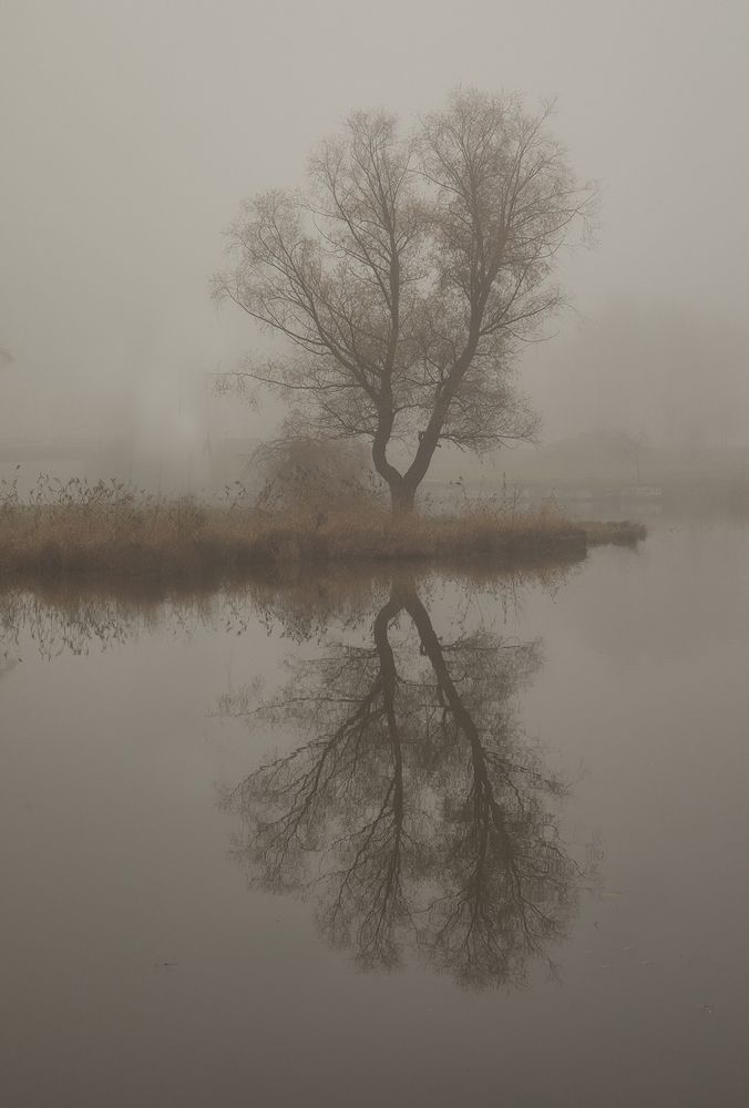 Photograph by Смыков Александр(OmRam)