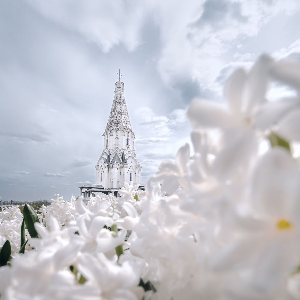 Фотография автора Мазурева Анастасия