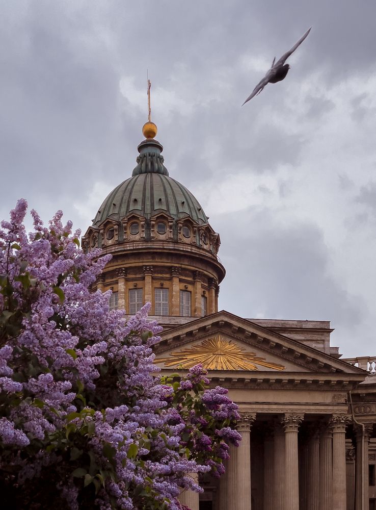 Фотография автора Мазурева Анастасия