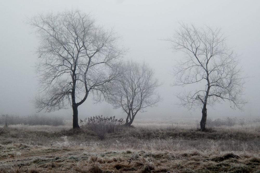 Photograph by Елена Ласун