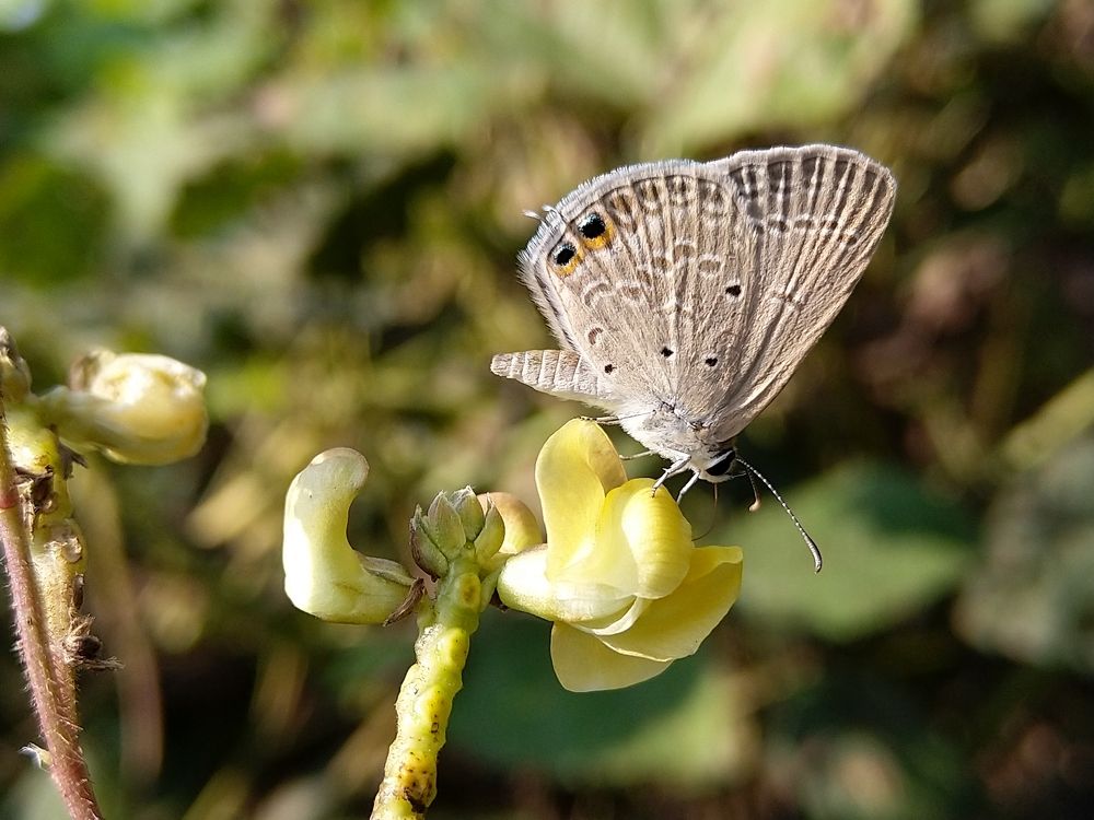 Photograph by sumit sitole