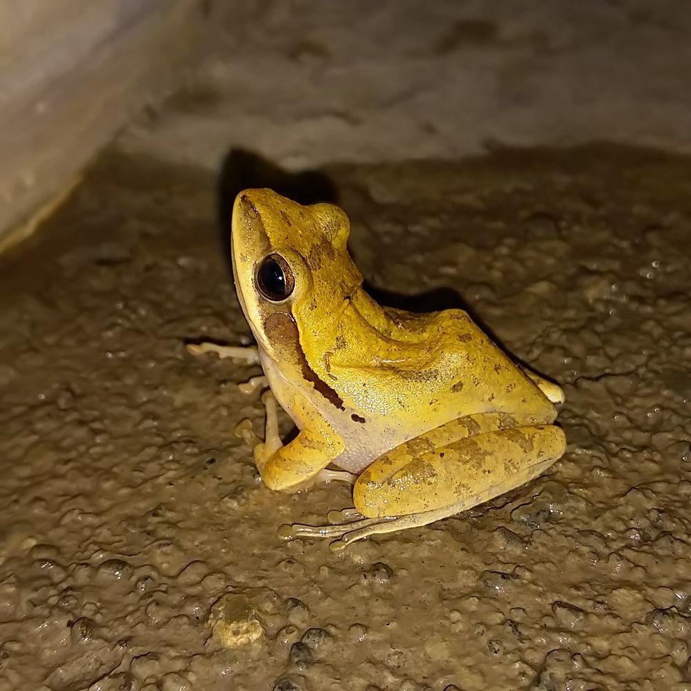 Photograph by sumit sitole