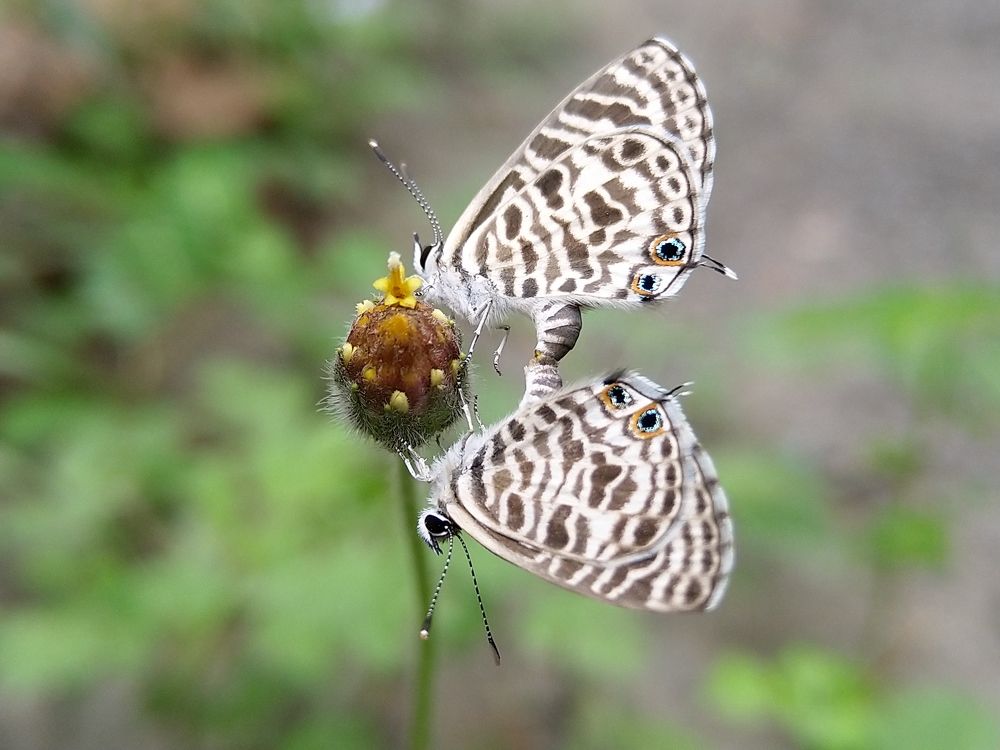 Photograph by sumit sitole