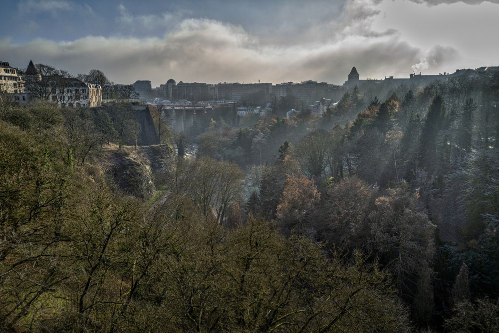 Photograph by Dirk Van Reeth