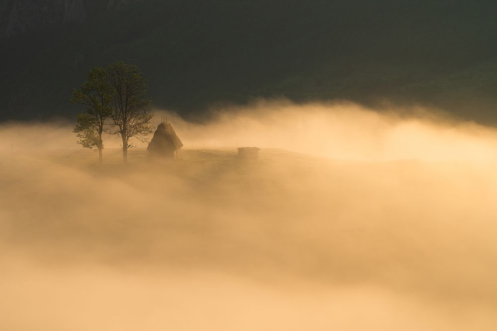 Photograph by Alexandru Pavel