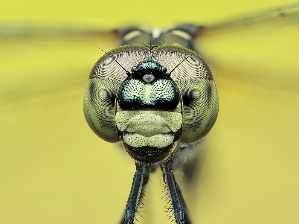 Photograph by Jacob Ng