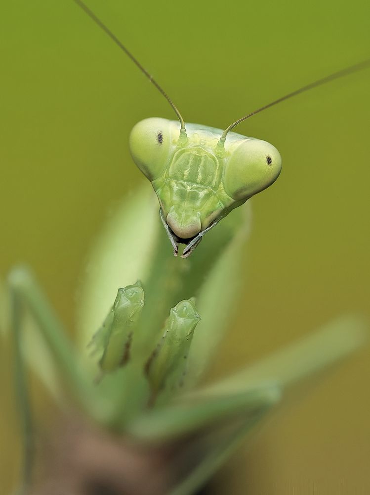 Photograph by Jacob Ng