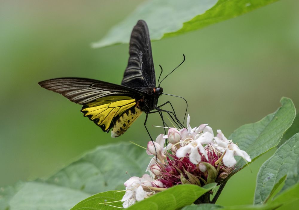 Photograph by Son Giap Hong