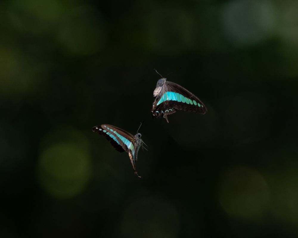 Фотография автора Yan Ze Ng