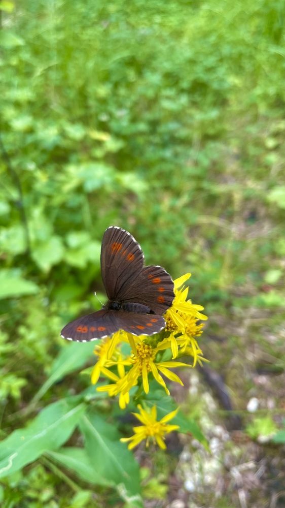 Photograph by Alina Andreevna