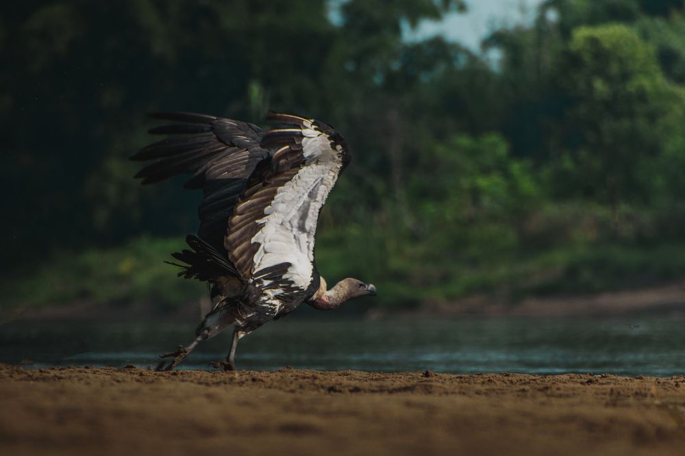 Photograph by SUEAL ANKRIT RANA