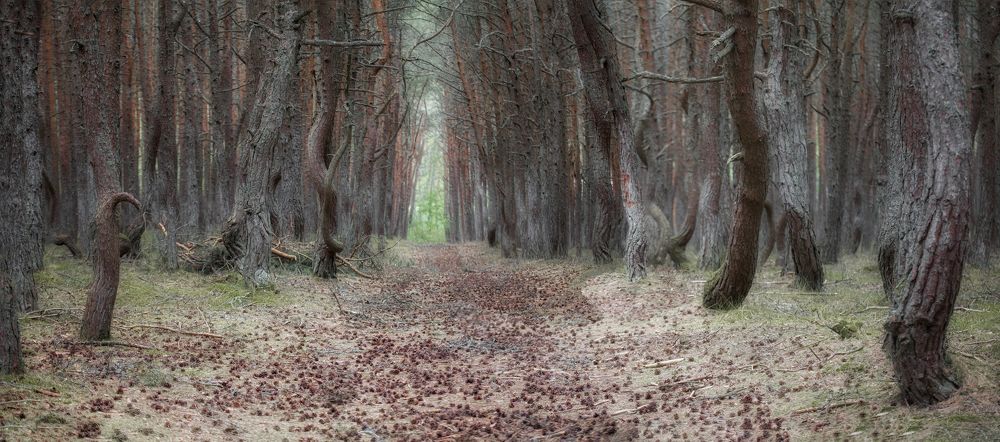 Photograph by Сергей Старостин