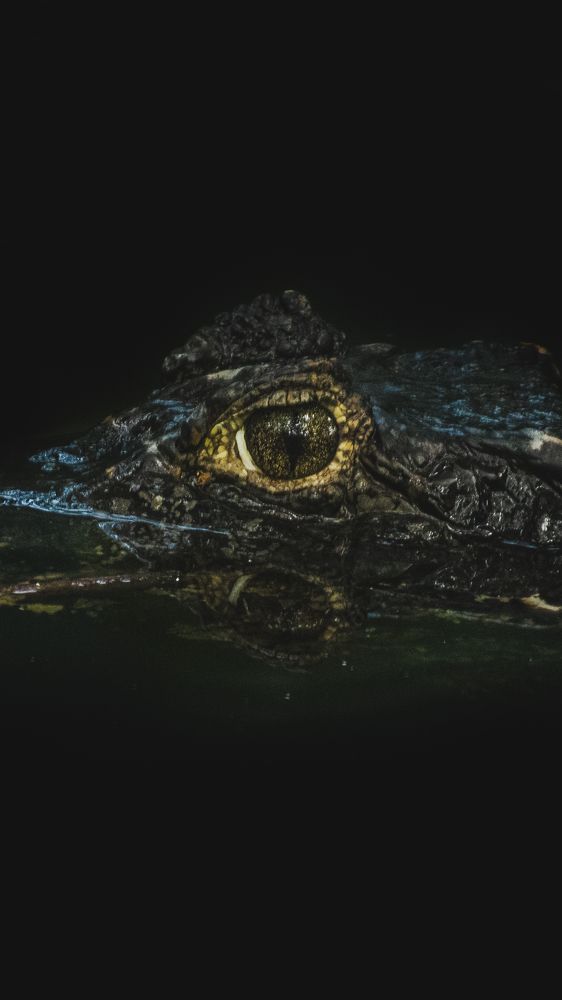 Photograph by SUEAL ANKRIT RANA