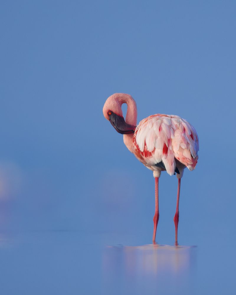 Photograph by Ajit kumar S