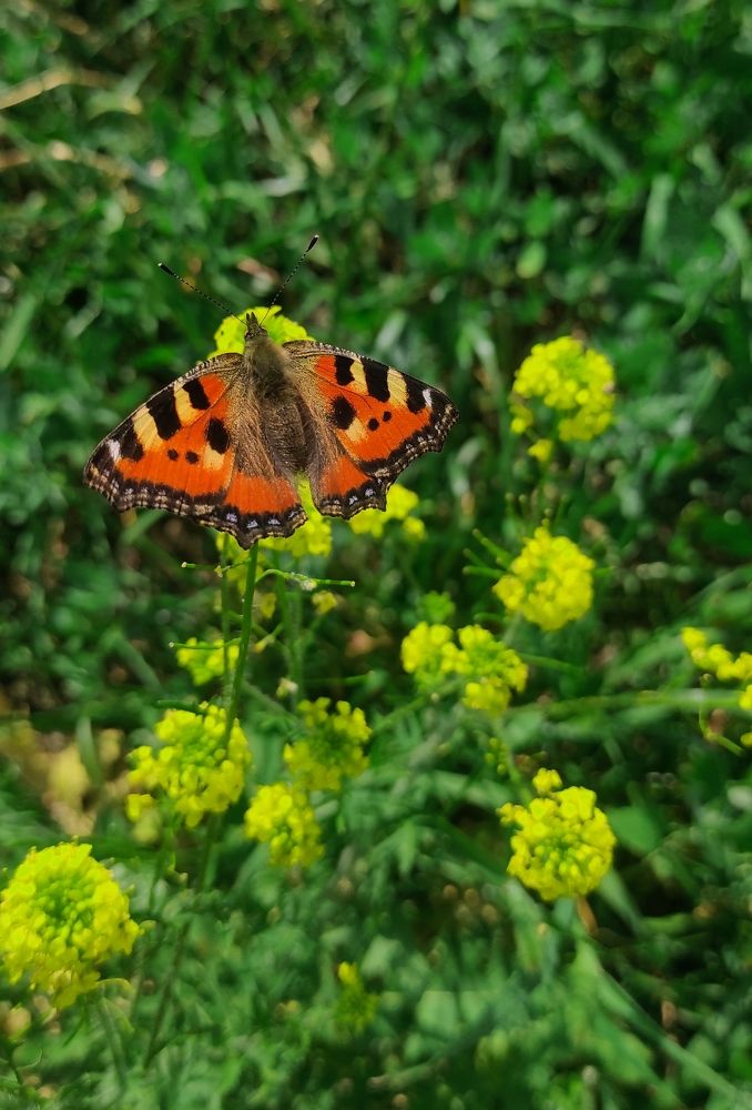 Photograph by Светлана Сафонова