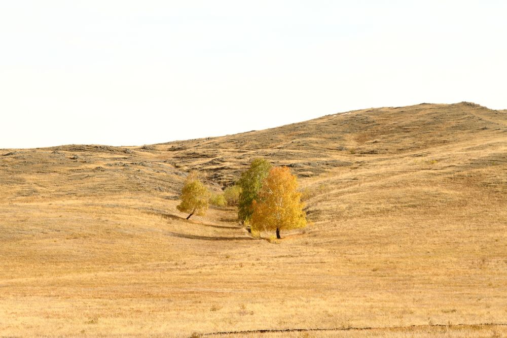 Фотография автора Михаил Кротков
