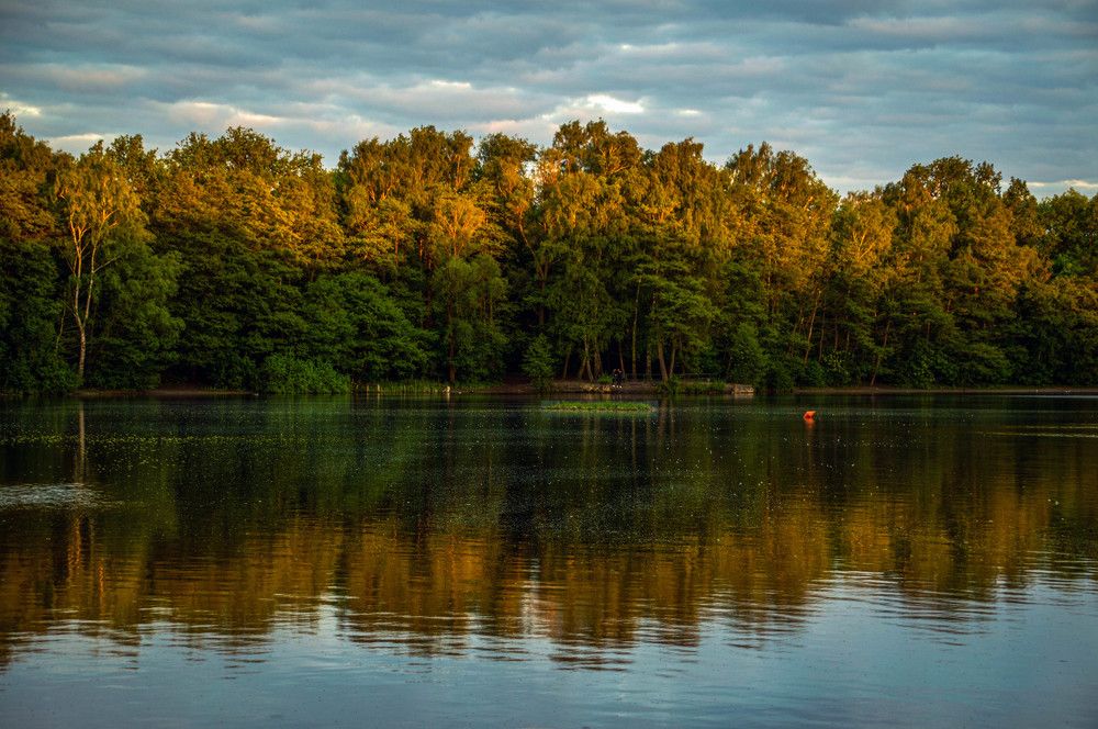 Photograph by Ирина Федорова