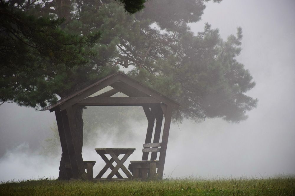 Photograph by Виталий Мартынов