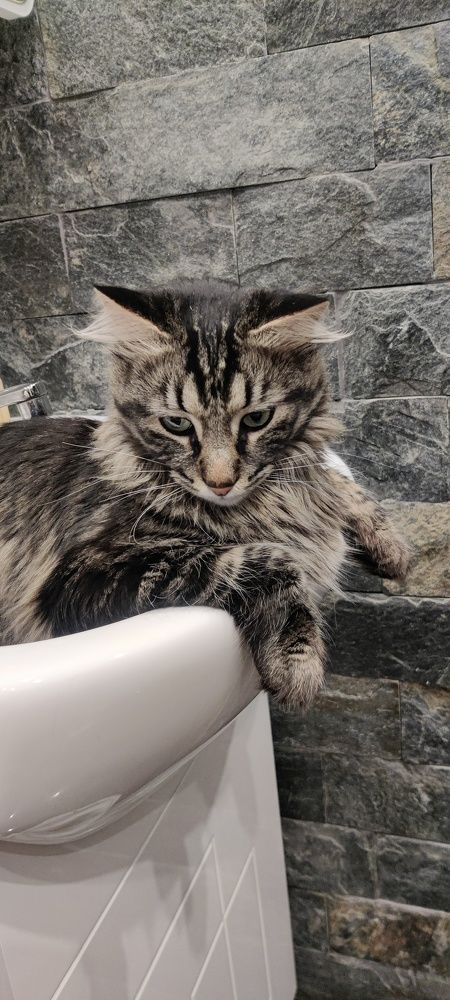 Photograph by Radoslav Stefanov