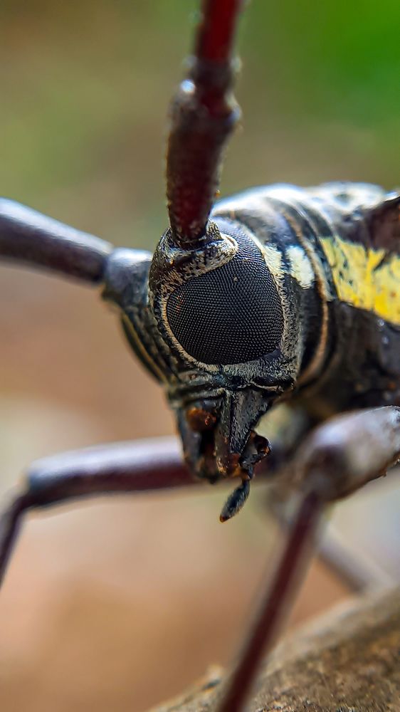 Photograph by Janmenjoy Mahata