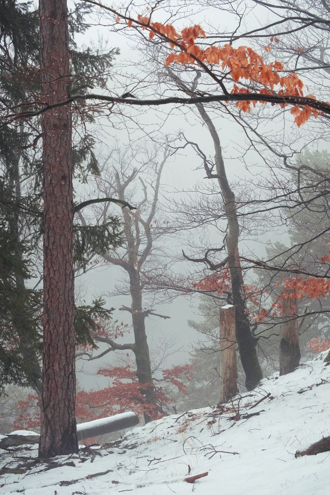 Photograph by Майя Коваль