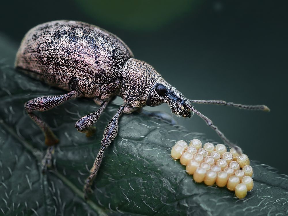 Фотография автора Галина Горькавая