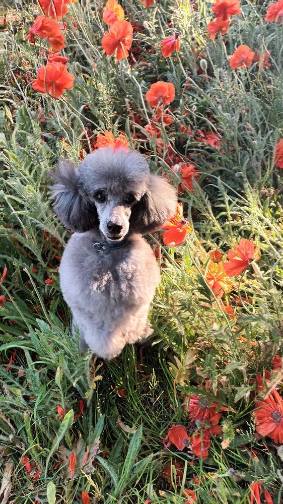 Photograph by Инна Демкив