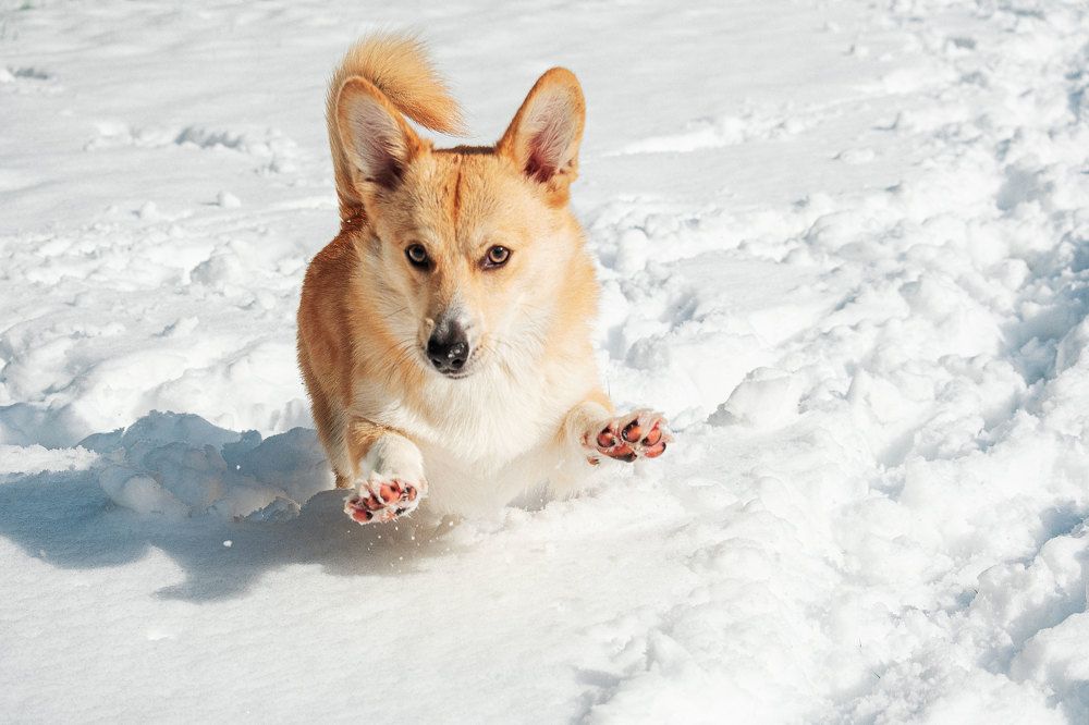 Photograph by Майя Коваль